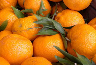 Mandarini dorati